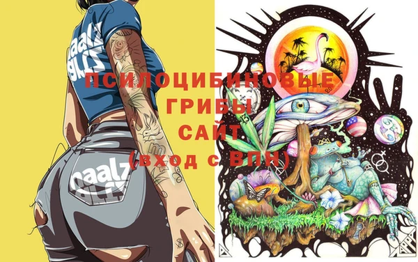 МДМА Алексеевка